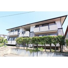 ハイカムールＯｋａｗａ