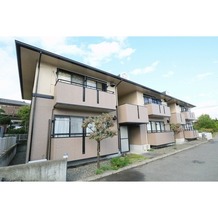 ハイカムール加藤