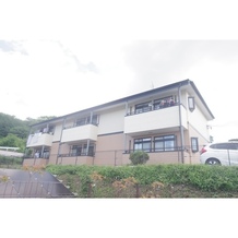 サープラスひまわり