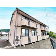 バリュージュヒカリ