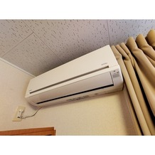 同型写真です