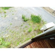 テラス