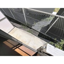 テラス