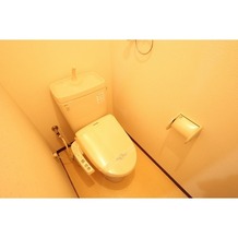 写真は別部屋です