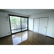 写真は別部屋です
