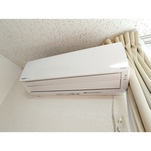 同型写真です