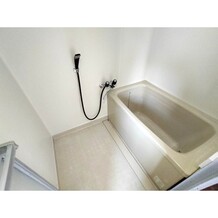 写真はイメージです