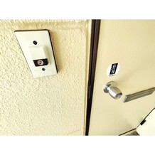 写真はイメージです