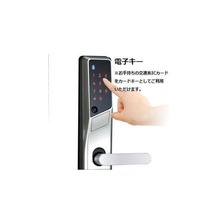 サンプル